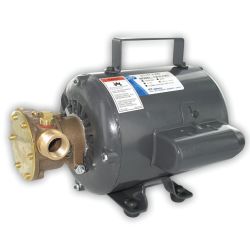 11810 Series Bronze AC Motor Flexible Impeller Utility Pumps image
