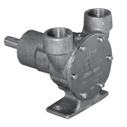 3890 Flexible Impeller Pedestal Pumps image