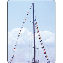 Decorative String of Code Flags image