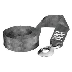 Winch Strap with Snap Hook image