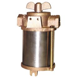 ASA Series Raw Water Strainer - with SS Enclosure image